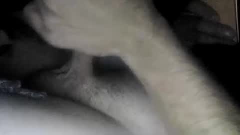 Slave bitch online show from 22, 4, 2026