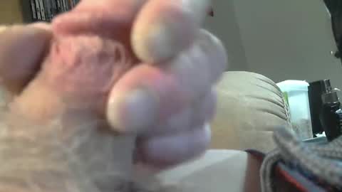 Snapshot of usmcmark63 chatting on 19, 2, 2025 lookin for free fun online show from 19, 2, 2025