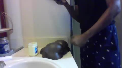 uzithebbc online show from 11, 12, 2024