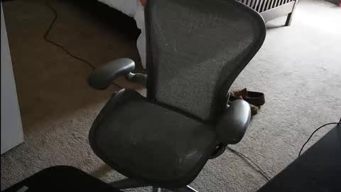 v_for_veng online show from 23, 2, 2026