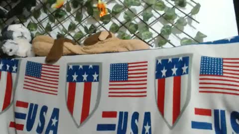 vaiolet online show from 23, 11, 2025