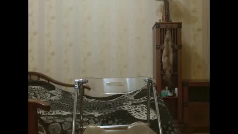 valentijm online show from 17, 4, 2026