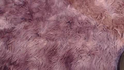 valery carter01 online show from 3, 2, 2026