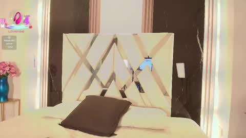 Snapshot of valery_wang chatting on 2, 3, 2025 Val online show from 2, 3, 2025