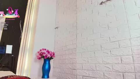 Snapshot of valery_wang chatting on 12, 3, 2025 Val online show from 12, 3, 2025