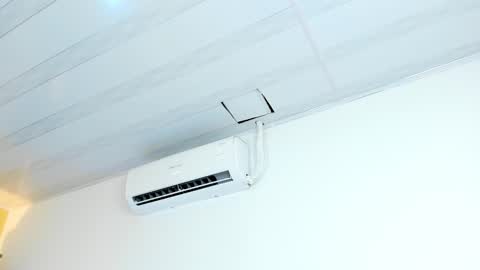 Valery online show from 11, 11, 2025