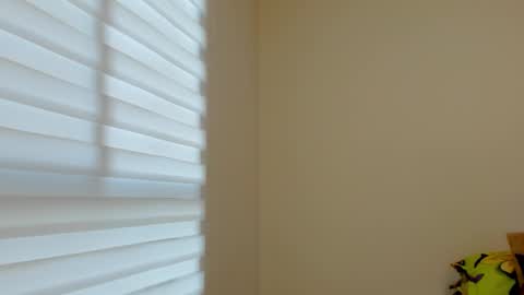 Valezny V online show from 8, 10, 2025