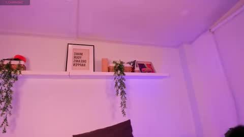 vamp  online show from 27, 11, 2025