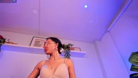 vamp  online show from 17, 4, 2026