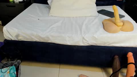 Vanessa Hard online show from 26, 2, 2026