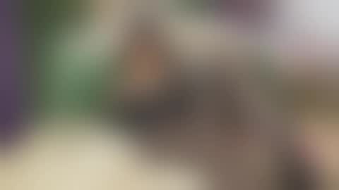 Snapshot of vanessajos chatting on 25, 9, 2025 Vanessa online show from 25, 9, 2025