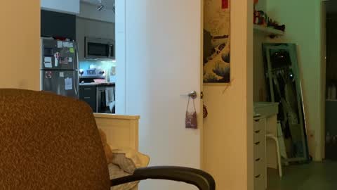 Snapshot of vanessapark chatting on 5, 1, 2025 Vanessa online show from 5, 1, 2025