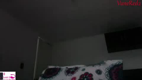 Snapshot of vanessared2 chatting on 14, 9, 2025 Vanesared2 online show from 14, 9, 2025