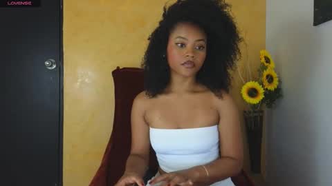 Snapshot of vanestrauss chatting on 11, 11, 2025 New account follow me online show from 11, 11, 2025