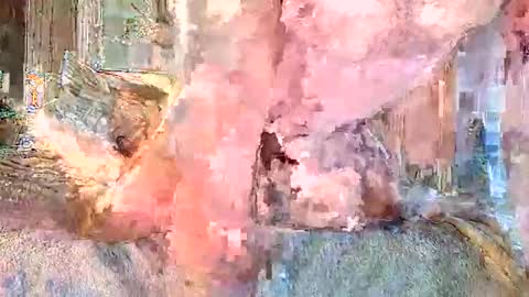 vanillasnackpack007 online show from 3, 2, 2026