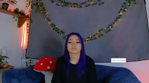 Vayolett online show from 9, 11, 2025