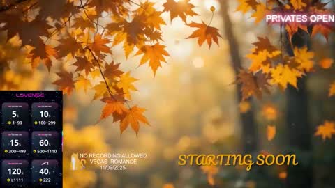 vegas_romance online show from 9, 11, 2025