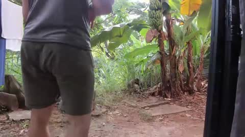 venus ... zeus sheer  online show from 20, 1, 2025