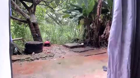 venus ... zeus sheer  online show from 13, 1, 2026