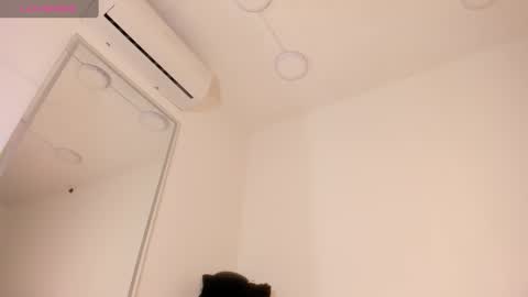 vera online show from 5, 11, 2025