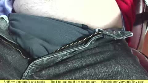 Snapshot of verylittletiny chatting on 4, 10, 2025 Erik online show from 4, 10, 2025