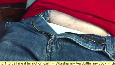 Snapshot of verylittletiny chatting on 25, 10, 2025 Erik online show from 25, 10, 2025