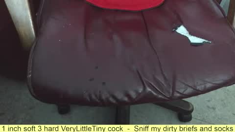 Snapshot of verylittletiny chatting on 7, 11, 2025 Erik online show from 7, 11, 2025