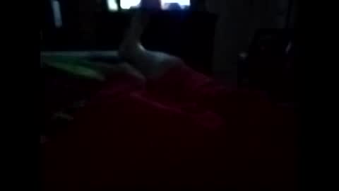 viciouzz1 online show from 11, 11, 2025