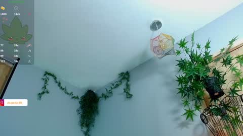 Victoria   online show from 27, 1, 2025