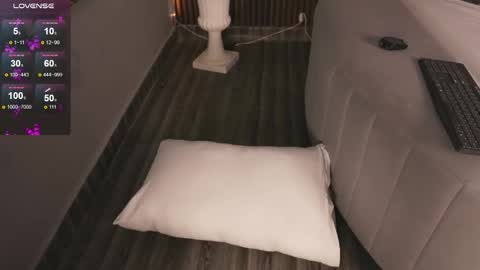 hi Im daniela  I will be online again in 15 hours after each transmission 3 online show from 29, 11, 2025