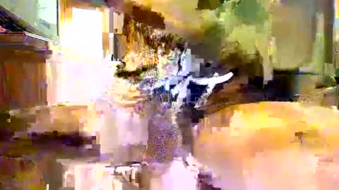 Snapshot of viizin chatting on 23, 2, 2025 viizin online show from 23, 2, 2025