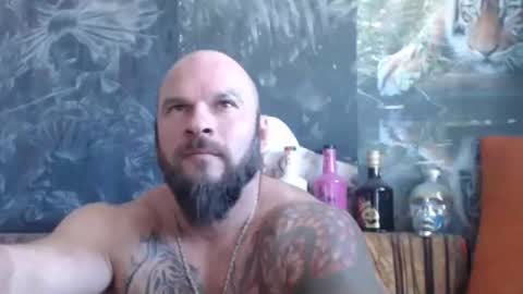 viking online show from 24, 9, 2025