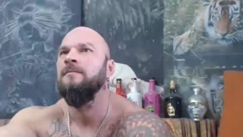 viking online show from 16, 11, 2025