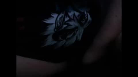 Snapshot of vikinggingerer chatting on 16, 2, 2025 vikinggingerer online show from 16, 2, 2025