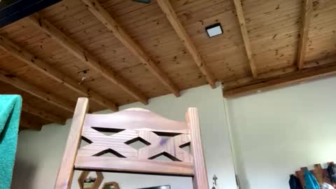 Viking Independent model online show from 23, 2, 2026