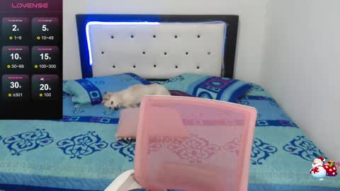 Snapshot of violet_stone22 chatting on 30, 12, 2024 Violeta online show from 30, 12, 2024