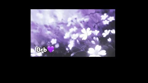 Violeta online show from 17, 4, 2026