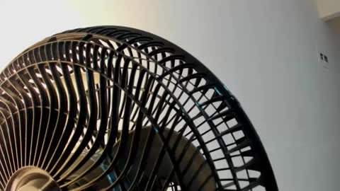 Violet Rose online show from 5, 1, 2026