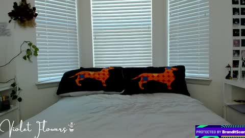 Violet Flowers online show from 5, 1, 2025