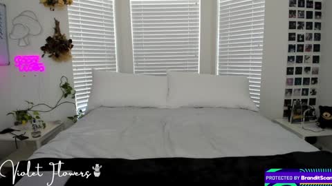 Violet Flowers online show from 8, 9, 2025