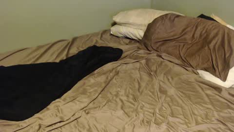 virgilmoss online show from 16, 1, 2025