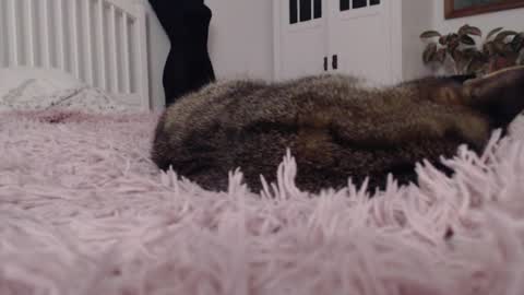 Snapshot of visceratio chatting on 7, 2, 2025 Visceratio online show from 7, 2, 2025