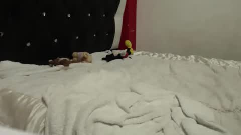 melissa online show from 24, 10, 2025