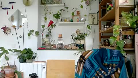 Viv online show from 6, 1, 2025