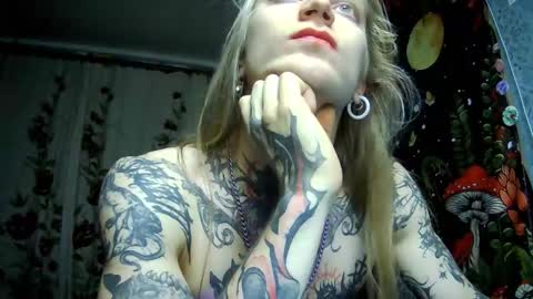 Elf online show from 14, 11, 2025