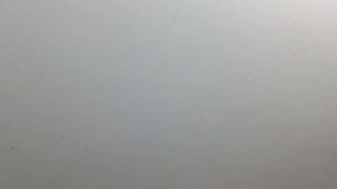 volentic online show from 9, 10, 2025