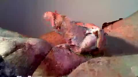 vukavuka99 online show from 16, 12, 2024