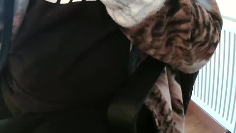 Daniel online show from 4, 2, 2025