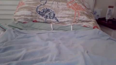 Snapshot of vwjim26 chatting on 26, 9, 2025 vwjim26 online show from 26, 9, 2025