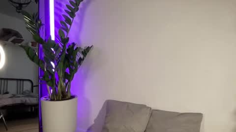 Alice  Before pvt write to me in PM  online show from 2, 3, 2025